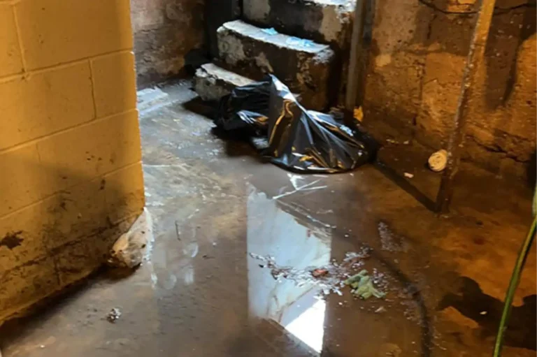 Home 8 sewage backup 1